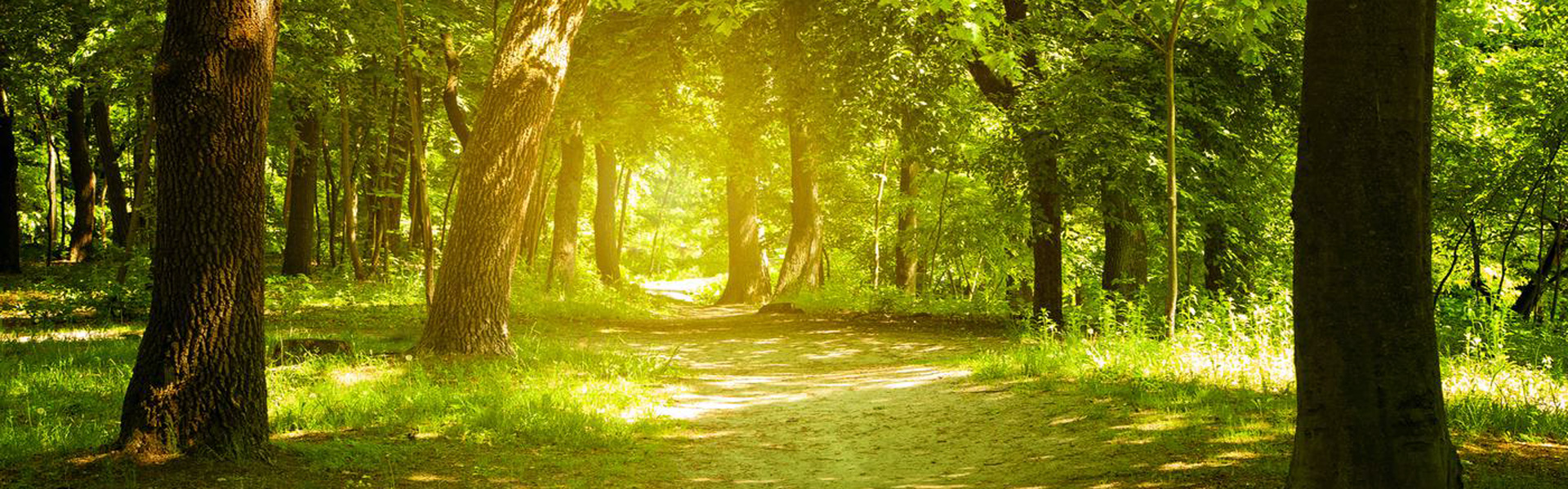 images heiss 1920 031